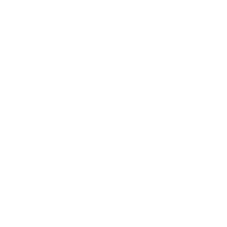 parquet